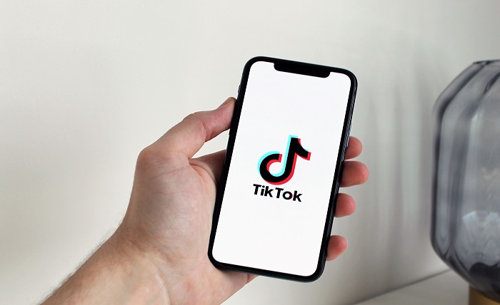 TikTok Downloaders